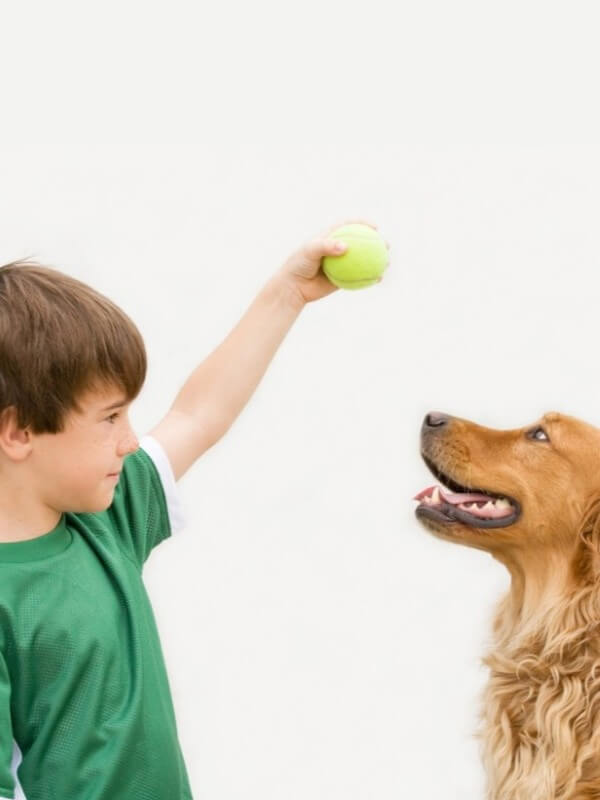 Boy Playing Ball with Dog