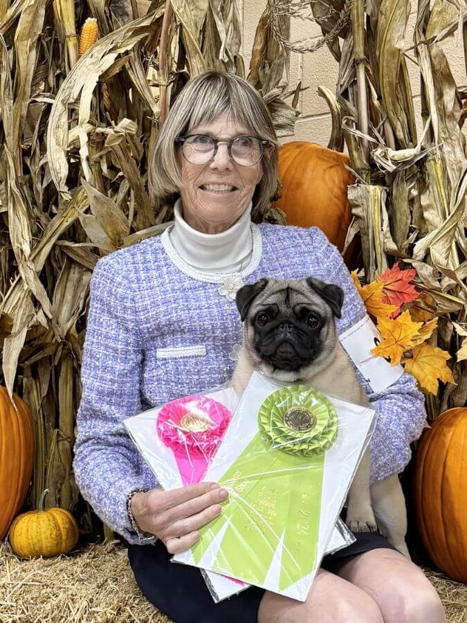 Ashley Fischer - Castlerock Pugs