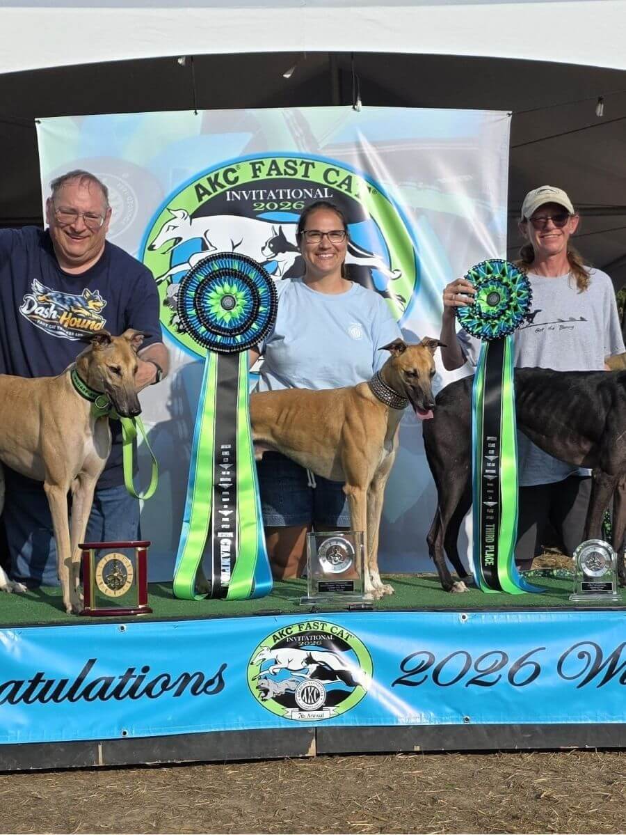 Full Speed Ahead! The Nation’s Quickest Dogs Crowned at AKC Fast Cat Invitational