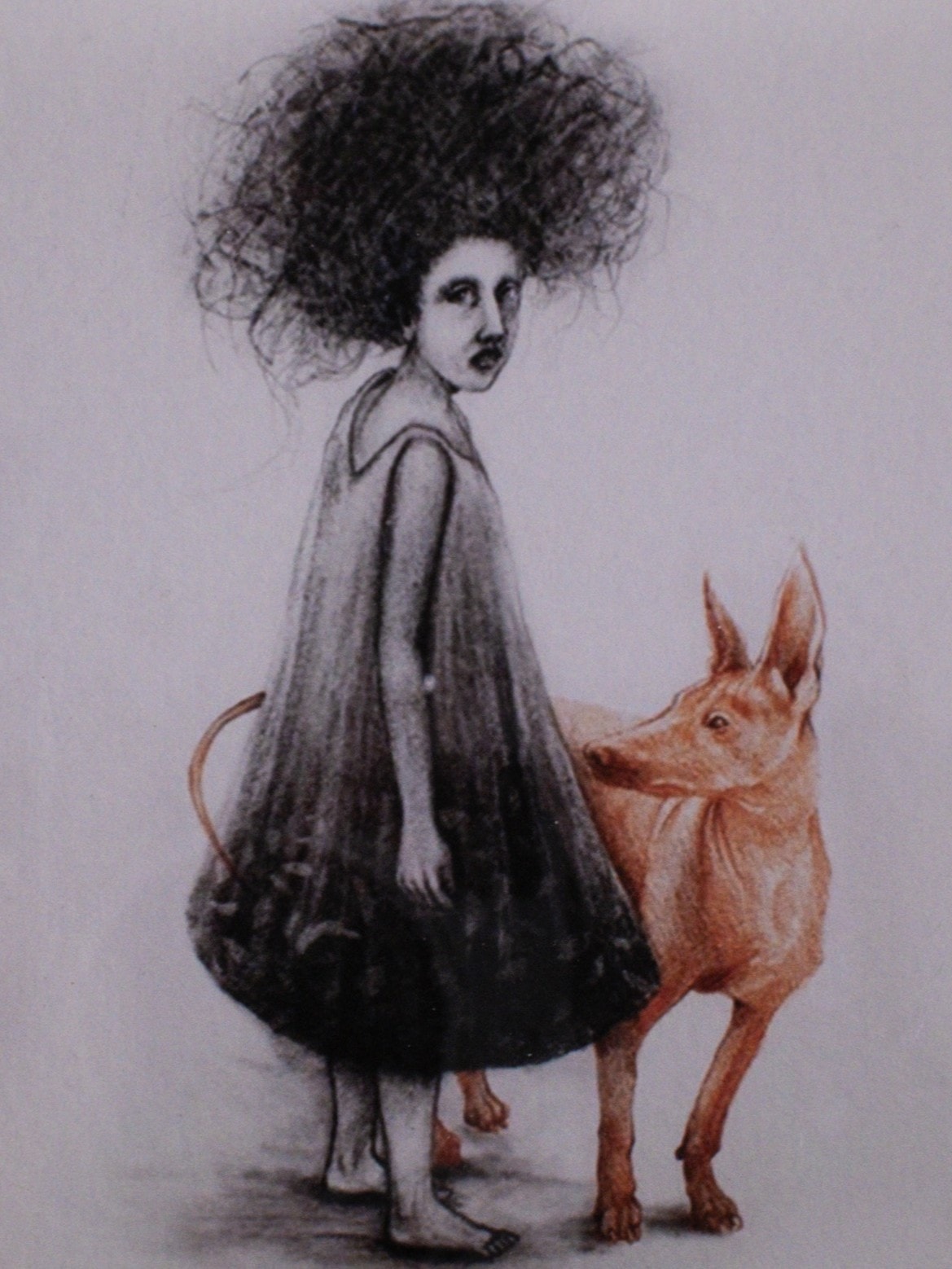 AKC Museum of the Dog to Present Rare Xoloitzcuintle Exhibition